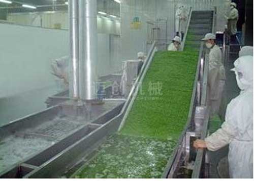 果蔬清洗机 果蔬清洗机