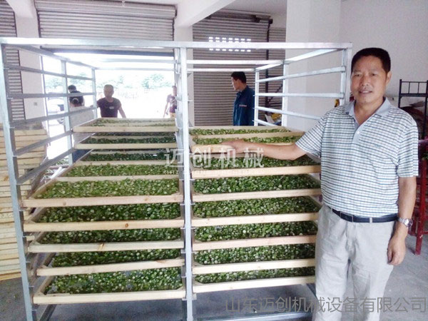 果蔬烘干机 果蔬烘干机