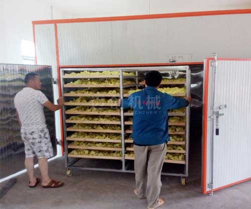 花卉烘干机 花卉烘干机