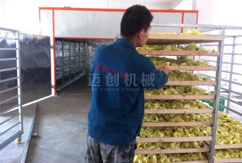 火龙果花烘干房 火龙果花烘干房