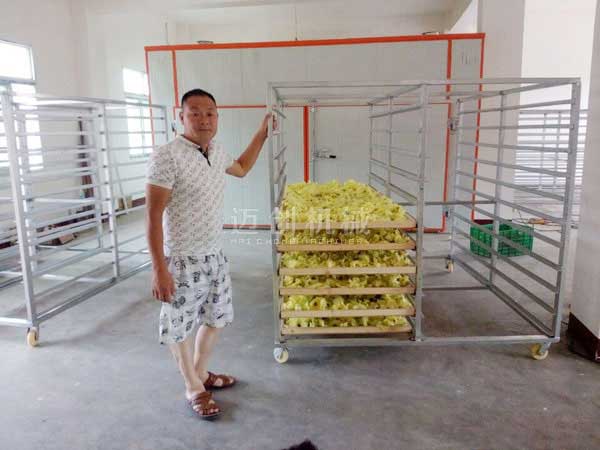 花卉烘干机 花卉烘干机